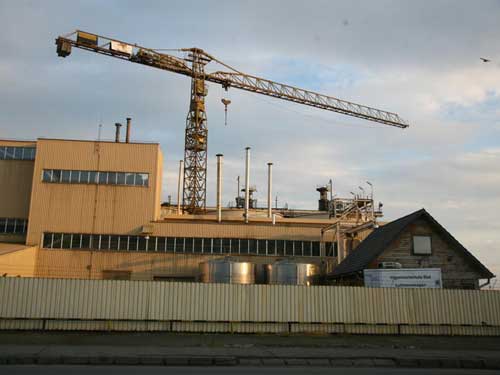 Romaltyn Mining (c) eMM.ro